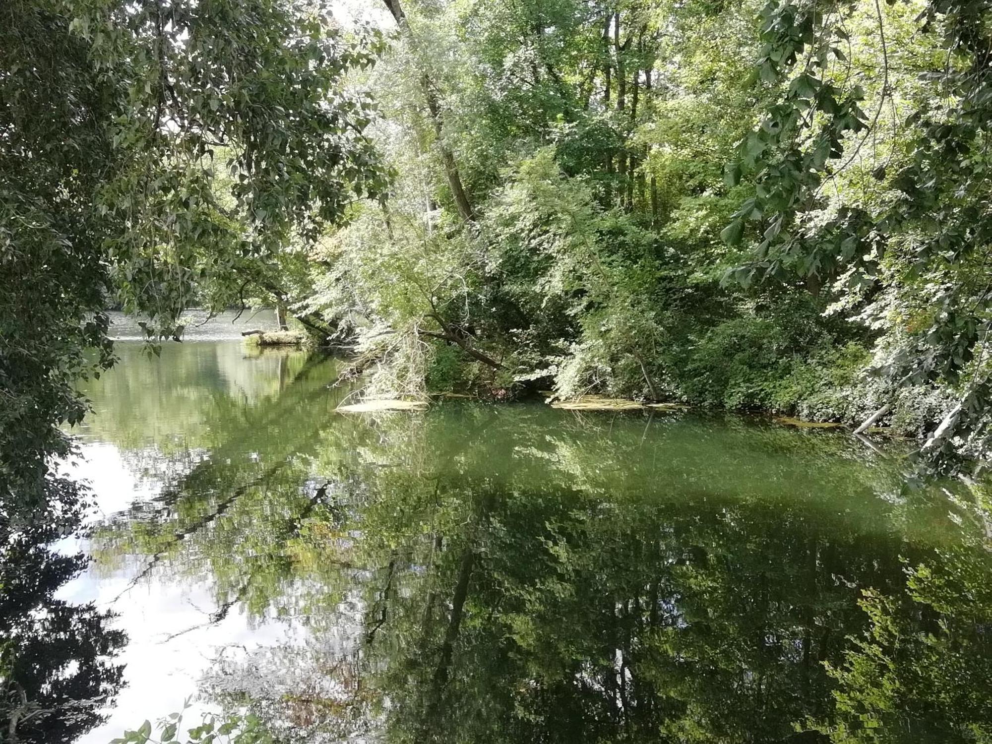 Studio Au Coeur De La Vallee De La Loire Azay-sur-Cher Luaran gambar